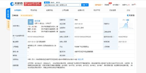 計算機軟硬件技術(shù)開發(fā) 雙輪驅(qū)動，引領(lǐng)數(shù)字未來